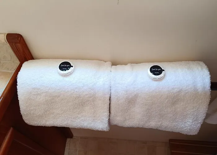 Botel Insolite, Peniche Hollandaise Cognac